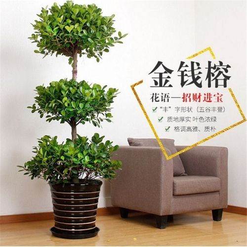 装修办公室