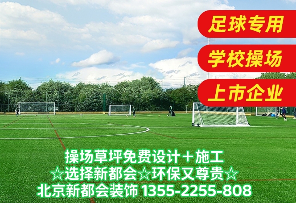 足球场环保草坪